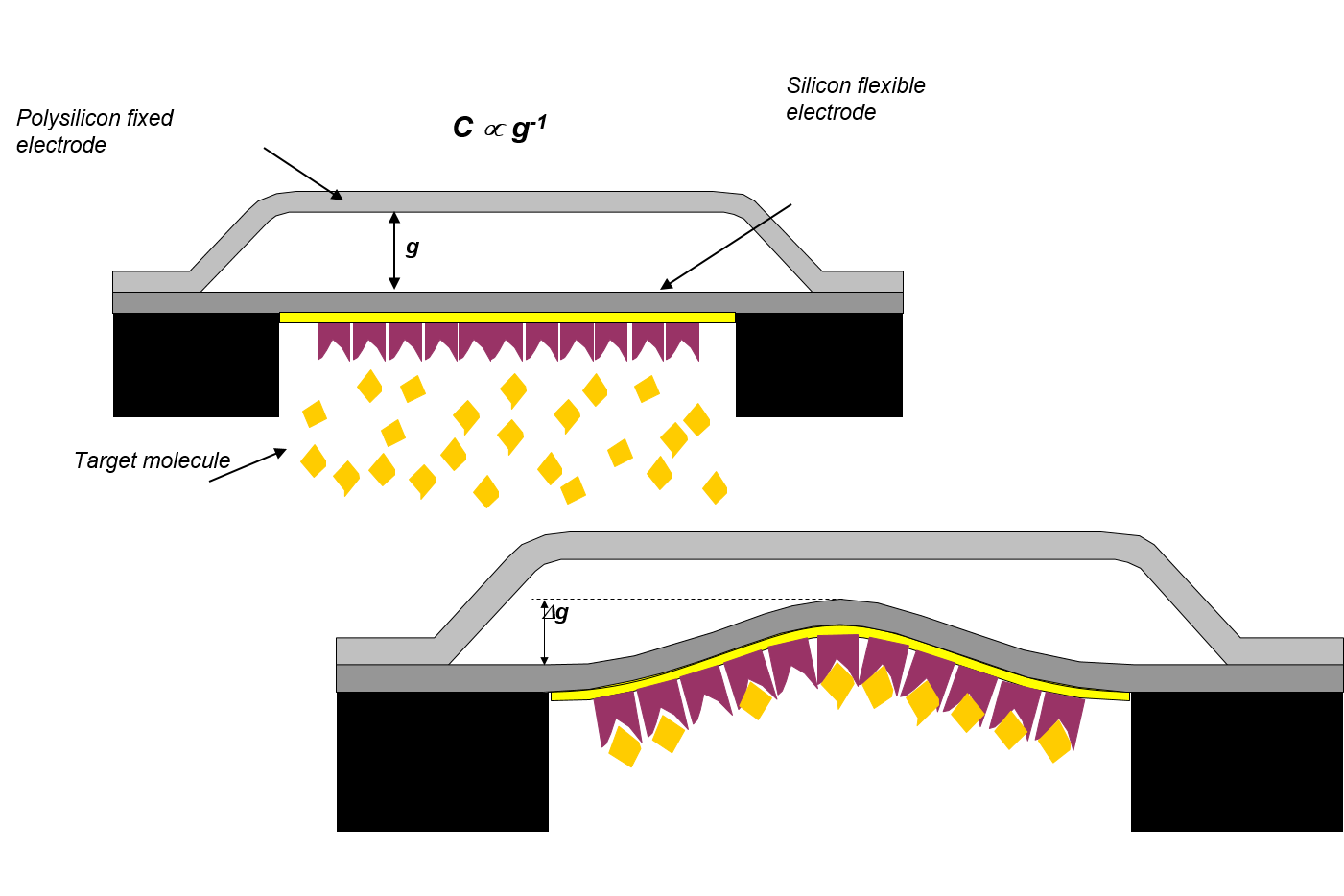 First slide [900x500]