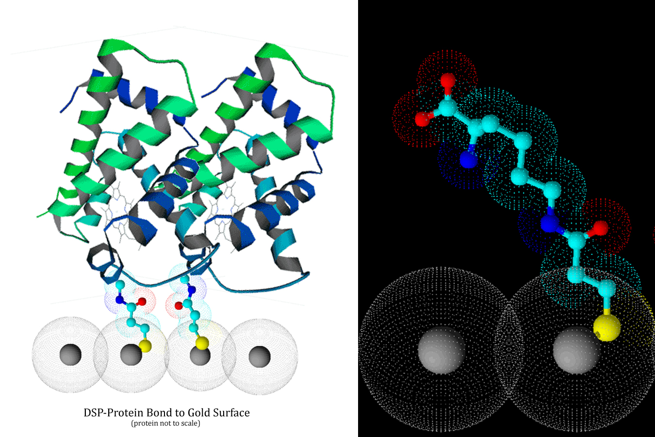 Third slide [900x500]