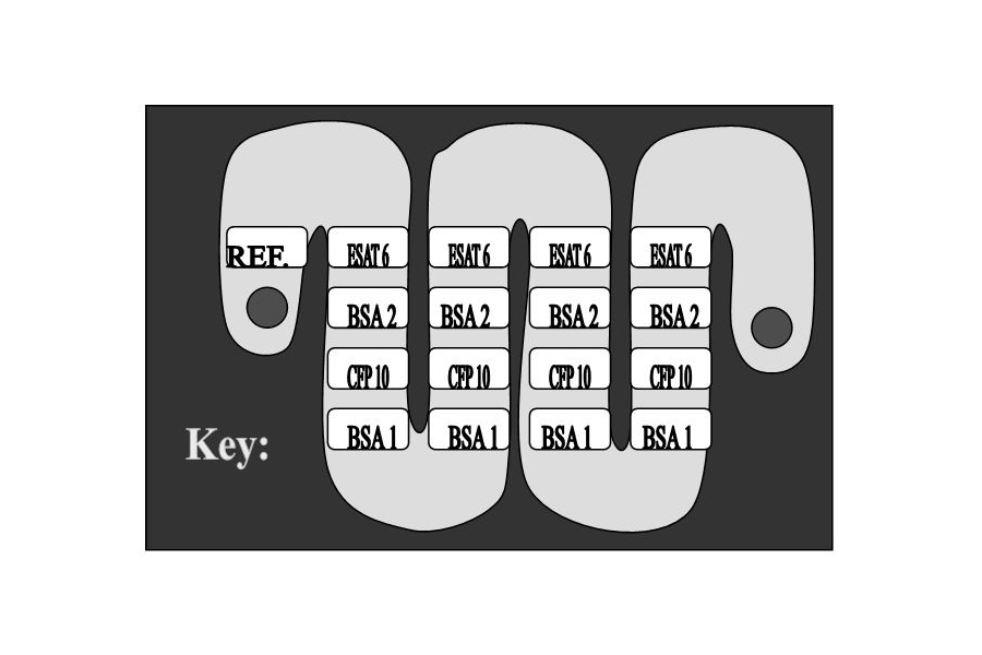 Second slide [900x500]