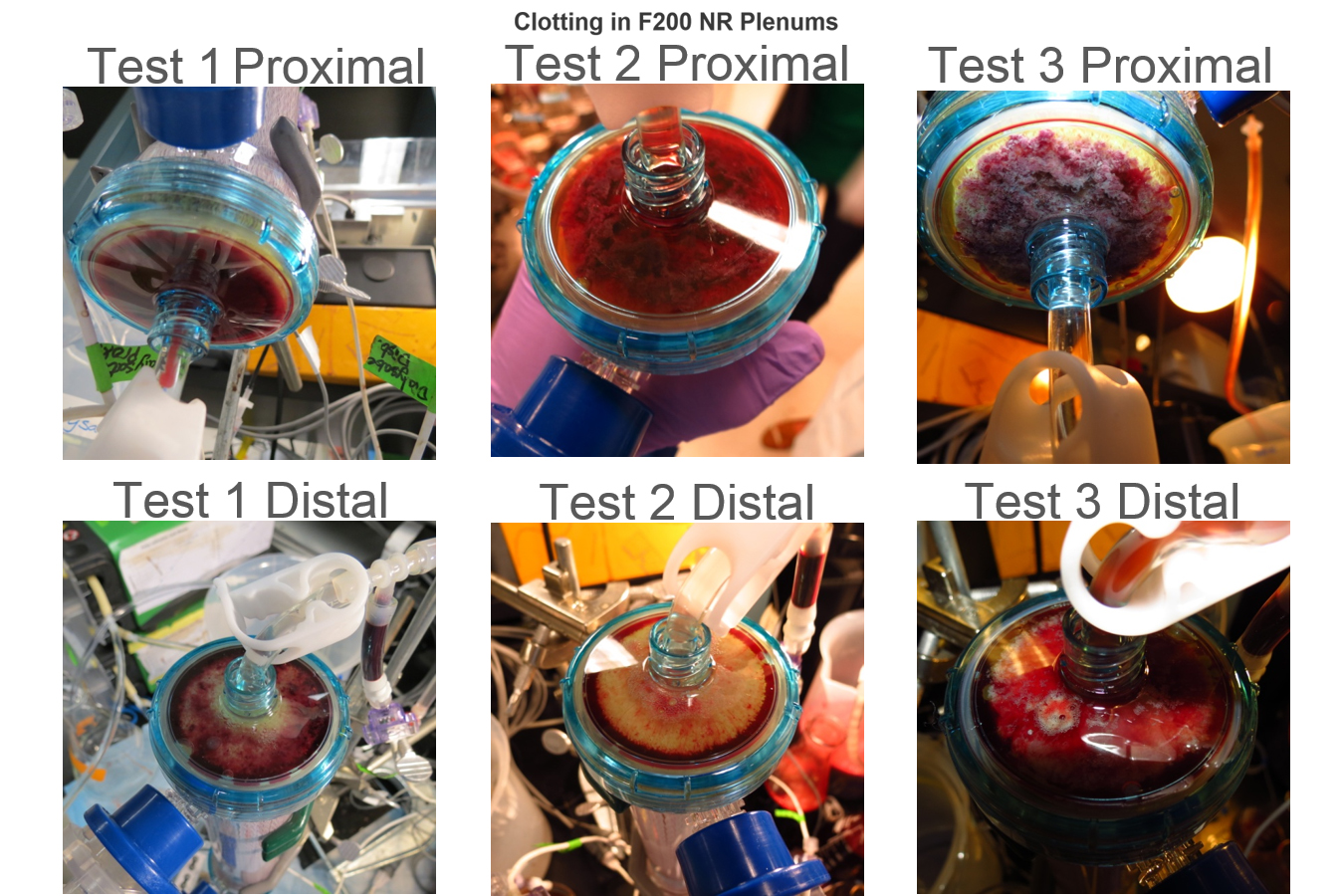 Third slide [900x500]