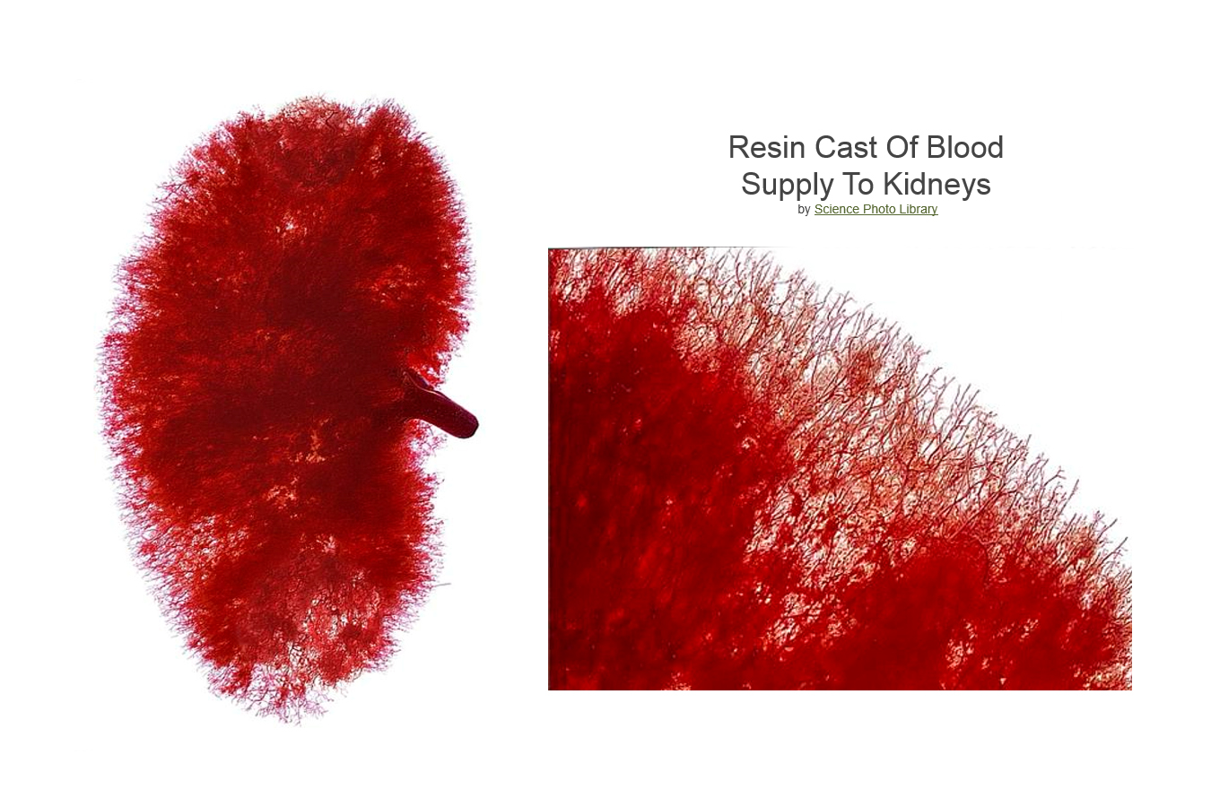 First slide [900x500]