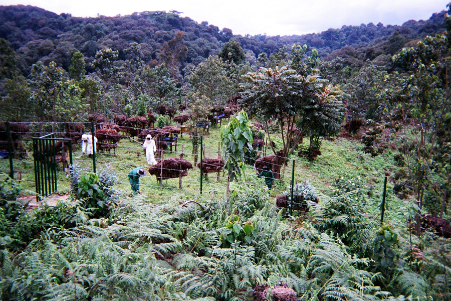 First slide [900x500]