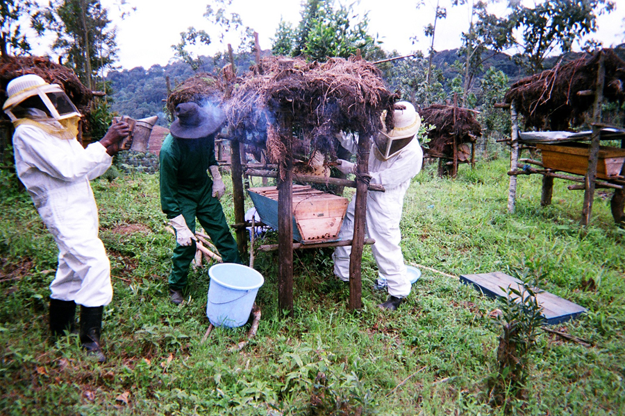 Second slide [900x500]