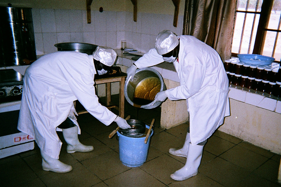 First slide [900x500]